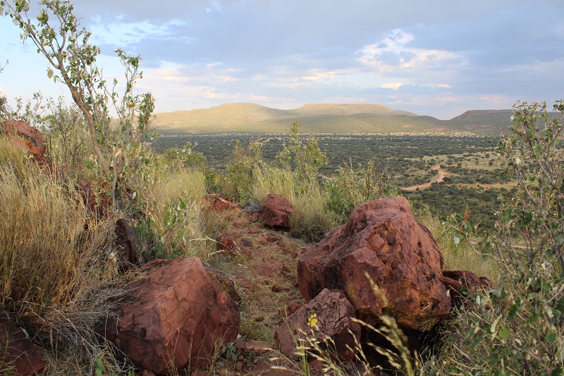 Dieses Bild hat ein leeres Alt-Attribut. Der Dateiname ist 2023-05-Namibia3-LeoTrack-Aussicht-20230426174449_IMG_0699.jpg