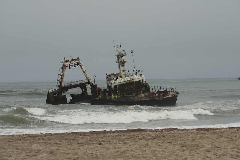 Skeleton Coast Zelia